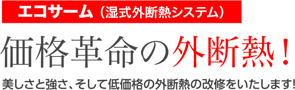 エコサーム