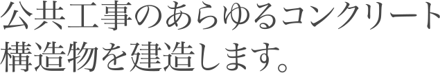 公共工事のあらゆるコンクリート構造物を建造します。